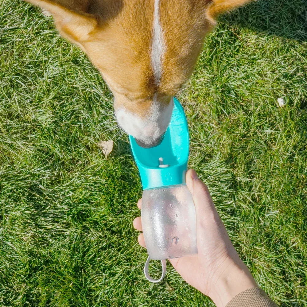 Trail & Tails Portable Pet Water Bottle — Leakproof Travel Hydration for Dogs & Cats