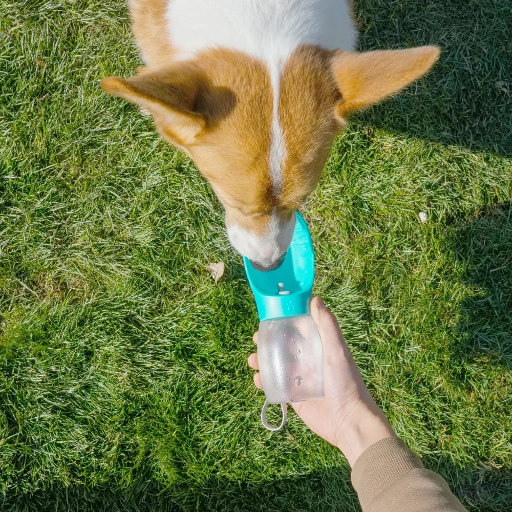 Trail & Tails Portable Pet Water Bottle — Leakproof Travel Hydration for Dogs & Cats